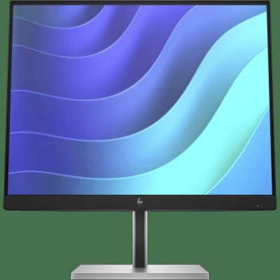 HP E22 G5 54.61 cm (21.5) FHD Monitor