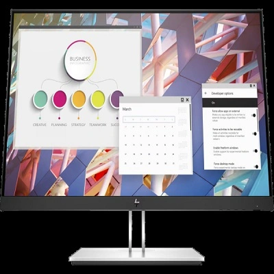 HP E24 G4 60.45 cm (23.8) FHD Monitor