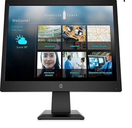 HP P19b G4 46.9 cm (18.5) HD Monitor