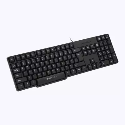 ZEBRONICS Zeb-K20 KEYBOARD