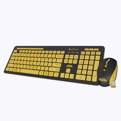 ZEBRONICS Zeb Companion 500 KEYBOARD AND MOUSE COMBO (DC-Black Adam)