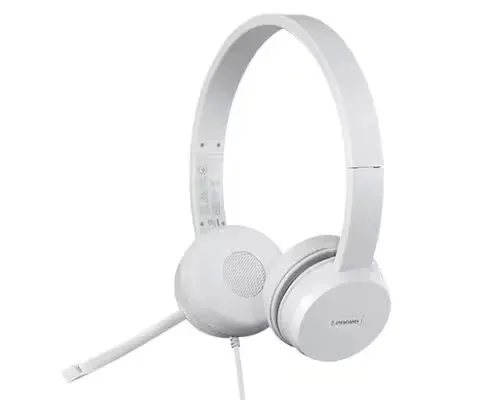 Lenovo 110 Stereo USB Headset