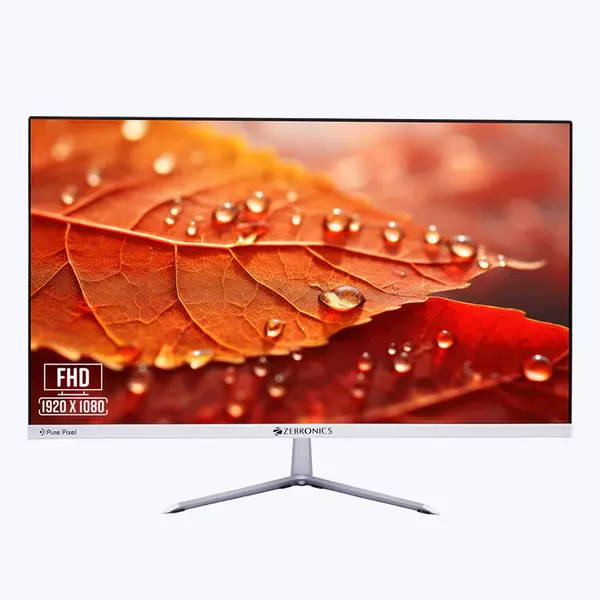 ZEBRONICS Zeb EA 124 (75Hz) MONITOR