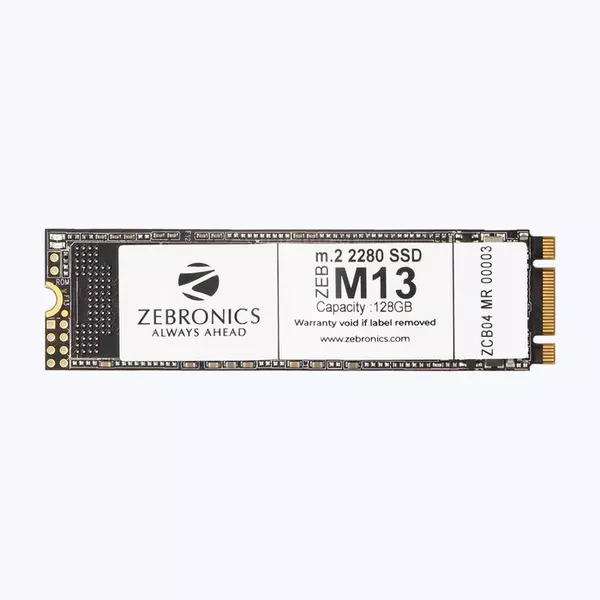 ZEBRONICS Zeb-M13 NVME SSD