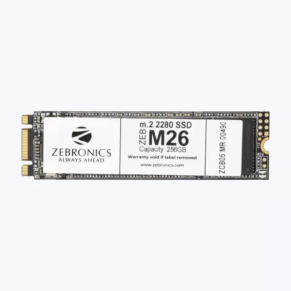 ZEBRONICS ZEB-M26 NVME SSD