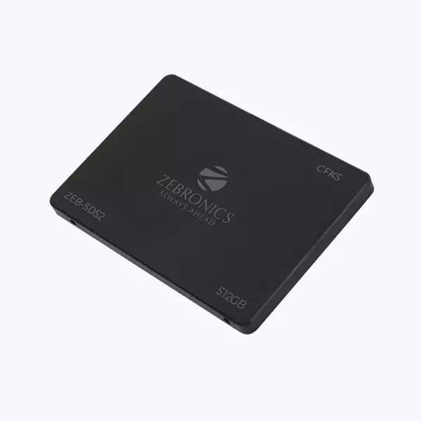 ZEBRONICS Zeb-SD52 512 GB SSD